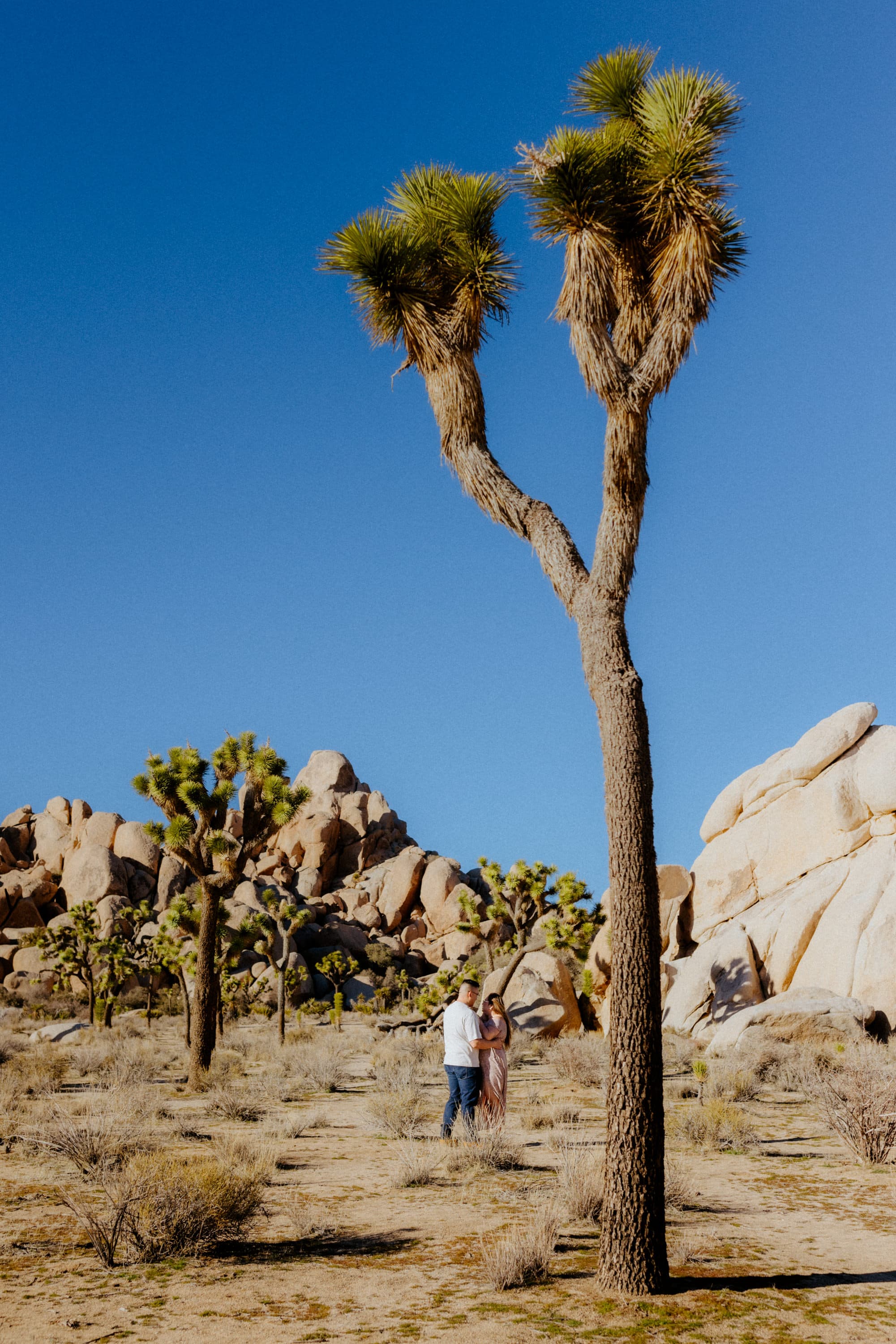 Adventurous engagement among Joshua Tree's natural beauty at the national park.
